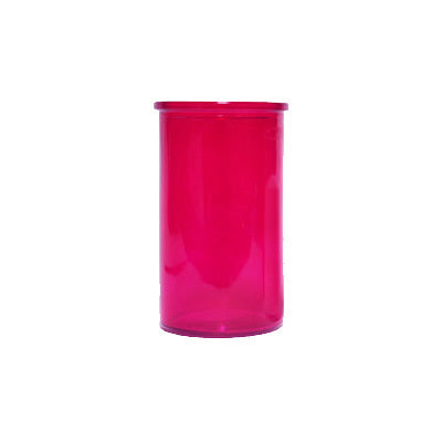 fuchsia 3 day glass globe
